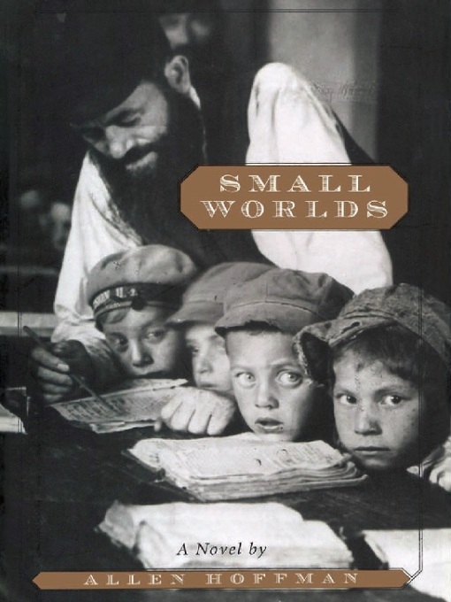 Cover image for Small Worlds